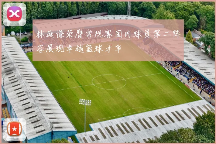 林庭谦荣膺常规赛国内球员第二阵容展现卓越篮球才华